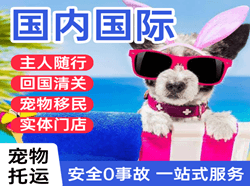 南昌空运地址国际宠物托运 【国